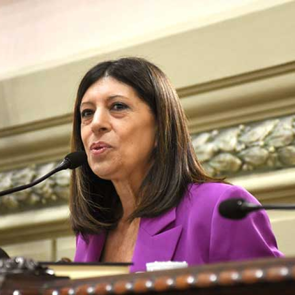 Clara García fue reelecta presidenta de la Cámara de Diputados