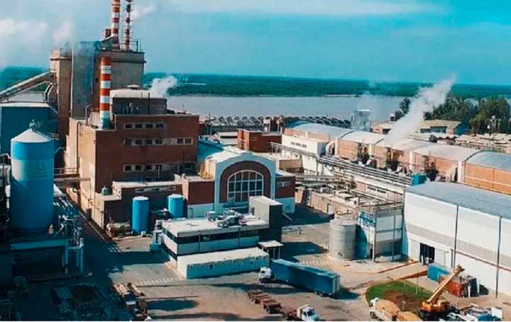 Celulosa Argentina paralizó la producción en sus plantas de Capitán Bermúdez y Zárate