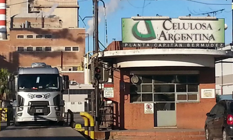 El Grupo CIMA, el nuevo jugador fuerte que desembarca Celulosa Argentina y Vicentin