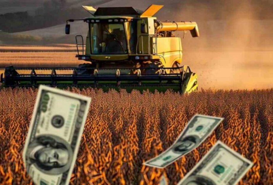 Ante la escasez de dólares, el Gobierno elimina las retenciones al campo hasta después de las elecciones
