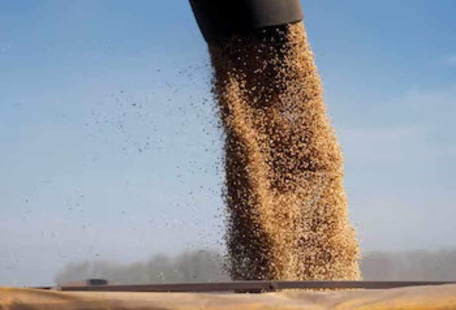 Molinos Agro y Louis Dreyfus Company mejoran su oferta a los acreedores de Vicentin