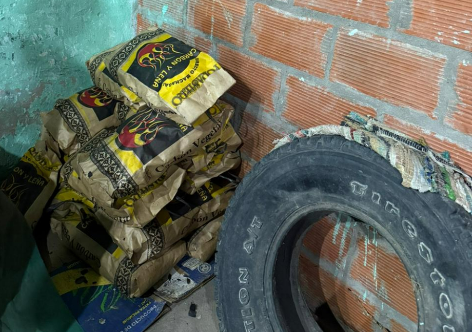 Dos jóvenes detenidos por hurtar bolsas de carbón en un comercio de San Lorenzo