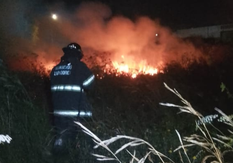 Bomberos sofocaron incendio de pastizales de gran magnitud en un terreno baldío de San Lorenzo