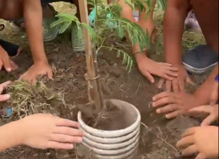 Fray Luis Beltrán: La colonia de verano se suma a la plantación de árboles