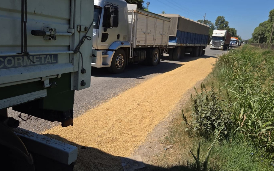 Inseguridad en los Puertos: Un Nuevo "Boquilleo" Paraliza el Ingreso a Cofco PGSM