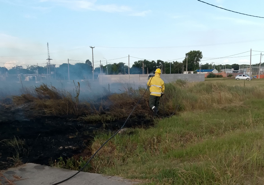 Incendio intencional de pastizales en un terreno baldío de San Lorenzo