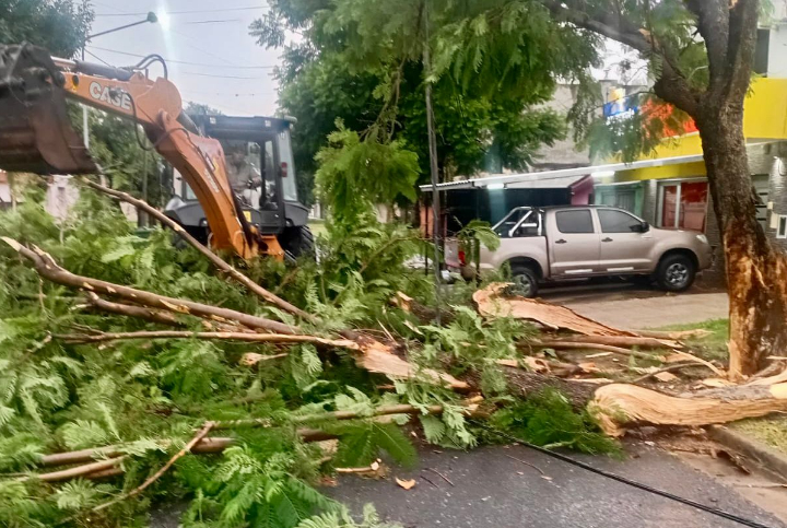 San Lorenzo: El intenso temporal provocó la caída de decenas de árboles y columnas en la ciudad