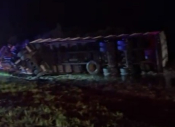 Volcó un camión con ganado en la Autopista Rosario-Santa Fe y rescataron a un nene de 7 años atrapado