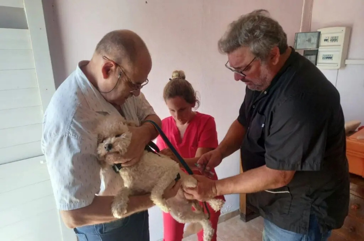 Con una jornada en el Parador Turístico, comienza la campaña de vacunación antirrábica y desparasitación