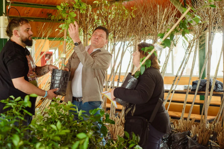 San Lorenzo sumó más de 2.200 árboles mediante entregas a vecinos y tareas de reforestación
