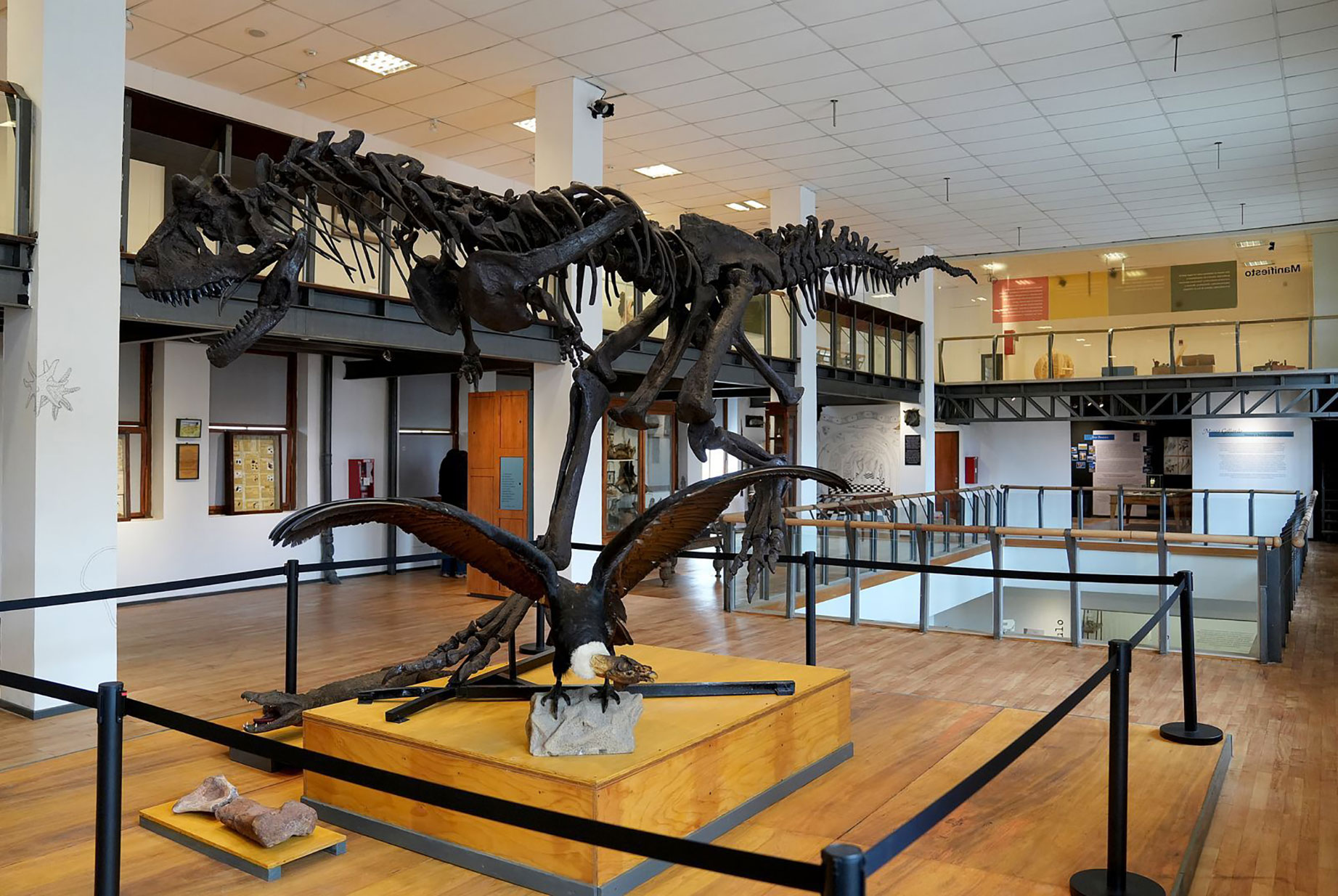 El Museo Gallardo reabrirá este viernes con nuevas muestras tras dos años de obras