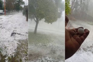 Violento temporal de lluvia y granizo: destrozos, viviendas inundadas y animales muertos en localidades de Santa Fe